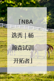 NBA选秀｜杨瀚森试训开拓者